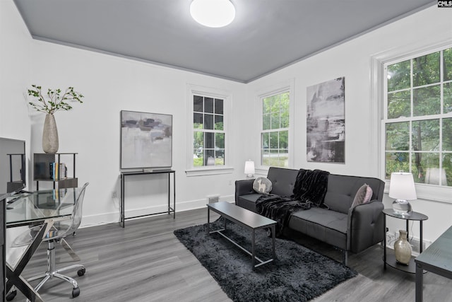 618 Joan St, Columbia, SC 29203 - living room featuring healthy amount of natural light, wood finished floors, and baseboards