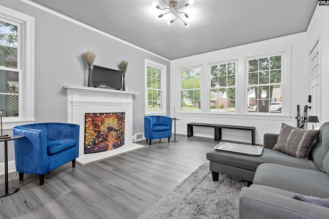 618 Joan St, Columbia, SC 29203 - living area with wood finished floors, healthy amount of natural light, and a warm lit fireplace
