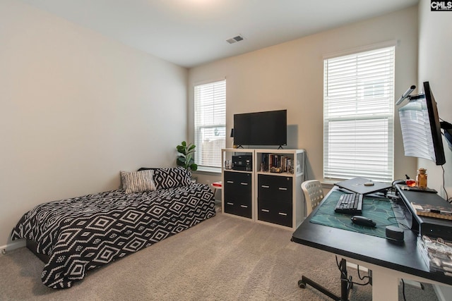 137 Brockway Dr, Columbia, SC 29229 - carpeted bedroom featuring an office area