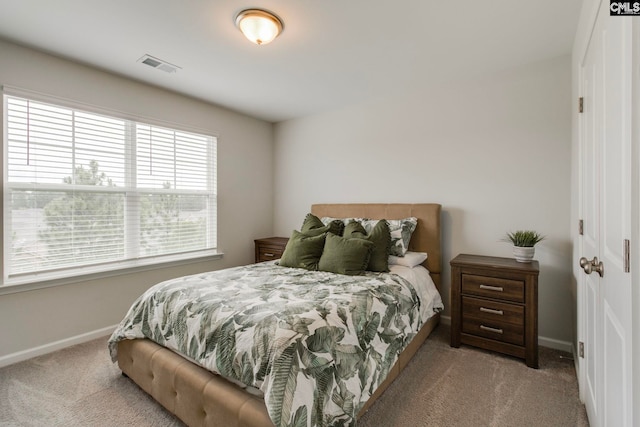 137 Brockway Dr, Columbia, SC 29229 - bedroom with carpet flooring and baseboards