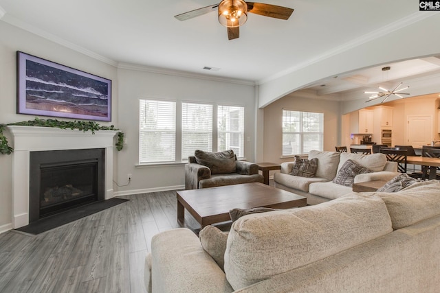 137 Brockway Dr, Columbia, SC 29229 - living room featuring ceiling fan, wood finished floors, arched walkways, crown molding, and a fireplace with flush hearth