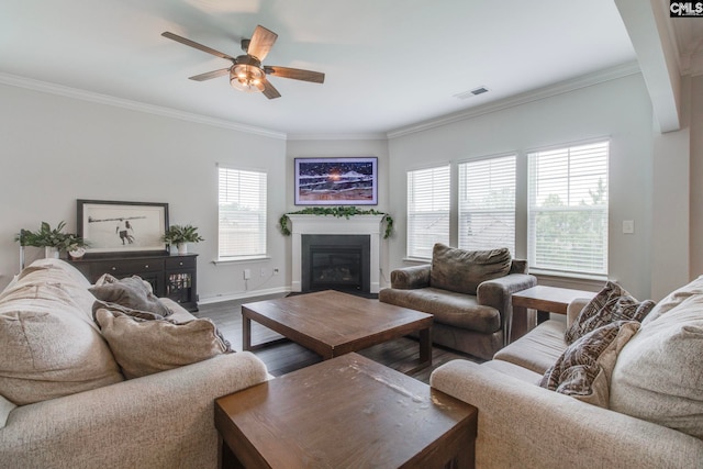 137 Brockway Dr, Columbia, SC 29229 - living room featuring a ceiling fan, crown molding, baseboards, wood finished floors, and a glass covered fireplace