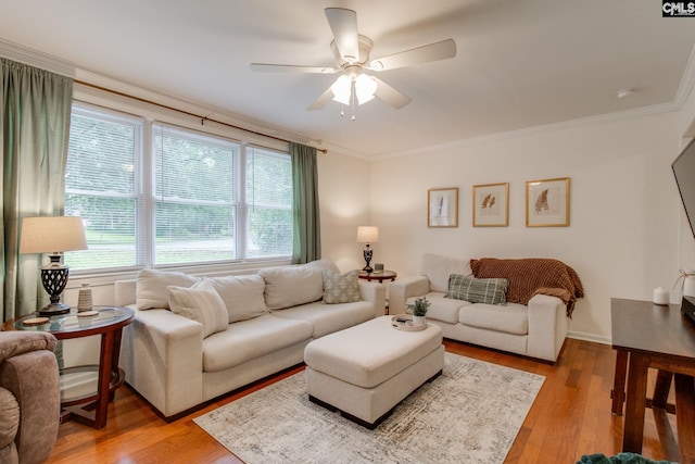 2241 Atascadero Dr, Columbia, SC 29206 - living room featuring ceiling fan, light wood-type flooring, and crown molding
