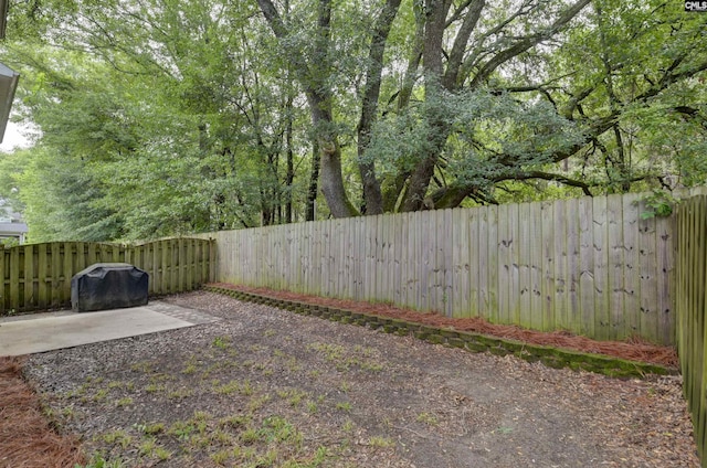 246 Harvest Glen Ln, West Columbia, SC 29169 - fenced backyard featuring a patio area