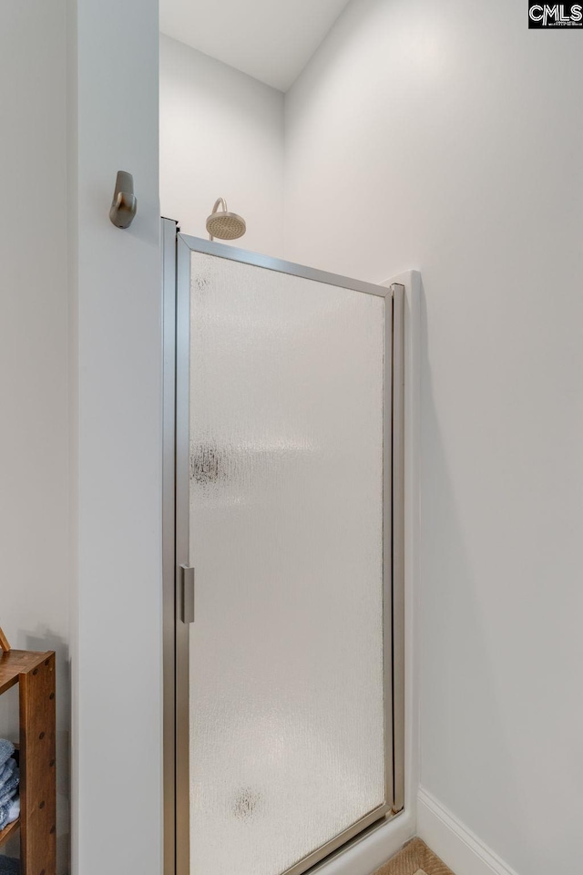 233 Pointe Overlook Dr, Chapin, SC 29036 - bathroom featuring a stall shower and baseboards
