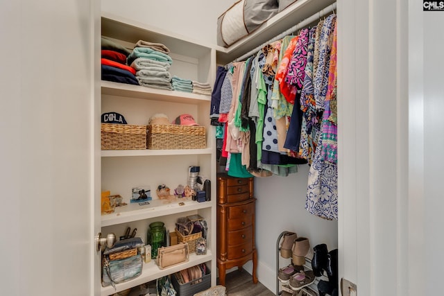 233 Pointe Overlook Dr, Chapin, SC 29036 - walk in closet with wood finished floors