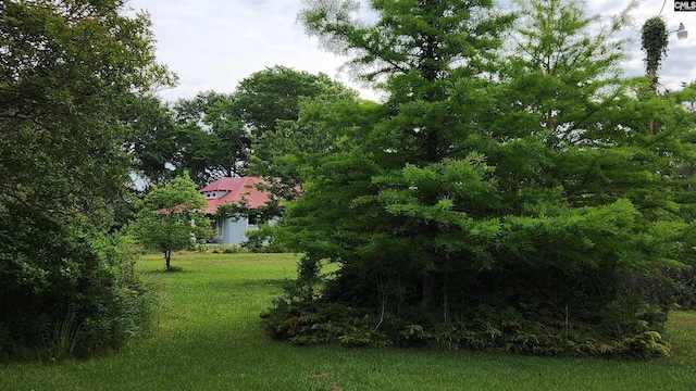 4537 State Highway 215 S, Jenkinsville, SC 29065 - view of grassy yard