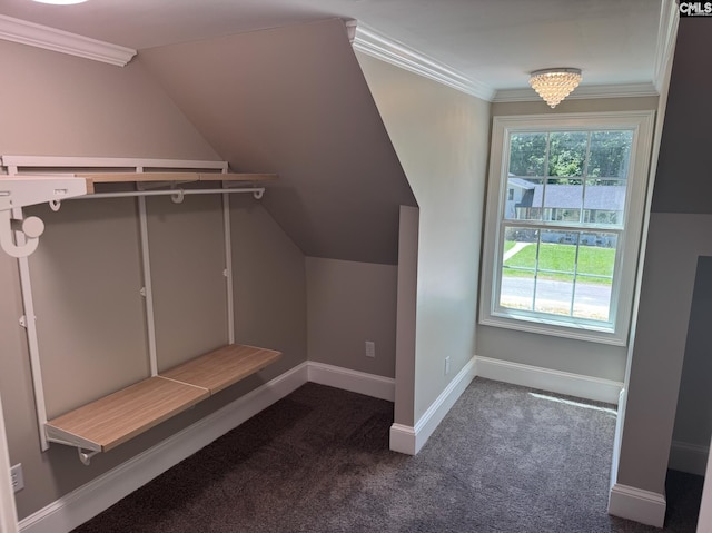 208 Juarez Ct, Columbia, SC 29206 - bonus room featuring carpet, baseboards, and vaulted ceiling