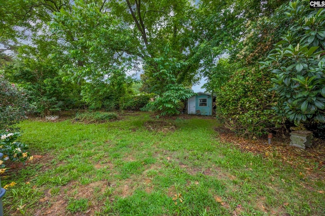 1818 Stratford Rd, Cayce, SC 29033 - view of grassy yard