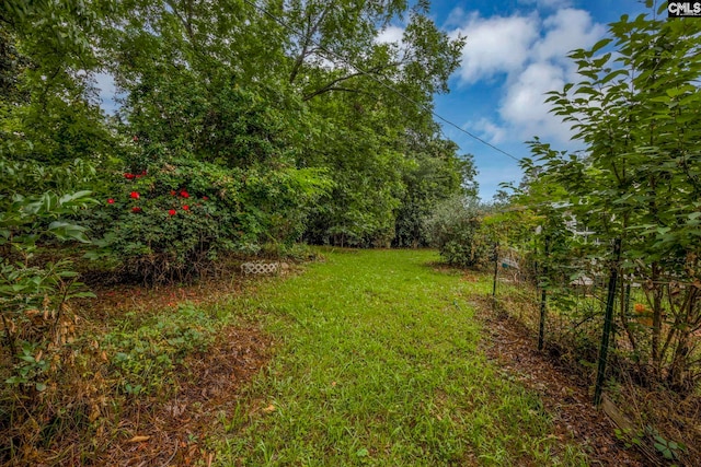 1818 Stratford Rd, Cayce, SC 29033 - view of grassy yard