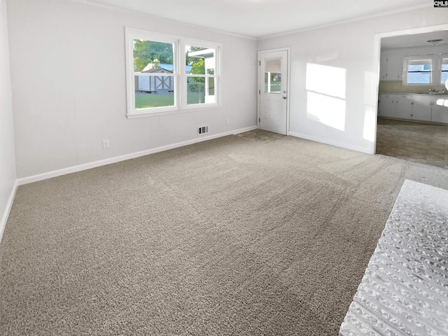 1920 Pennfield Dr, Columbia, SC 29223 - spare room with ornamental molding, baseboards, and carpet