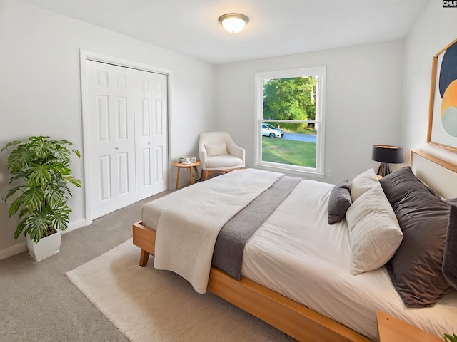 1920 Pennfield Dr, Columbia, SC 29223 - bedroom featuring carpet floors, a closet, and baseboards