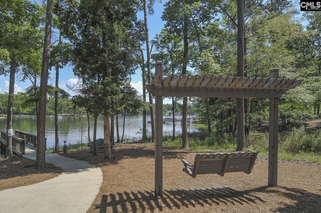 2348 Hadley Xing, Chapin, SC 29036 - surrounding community featuring a water view