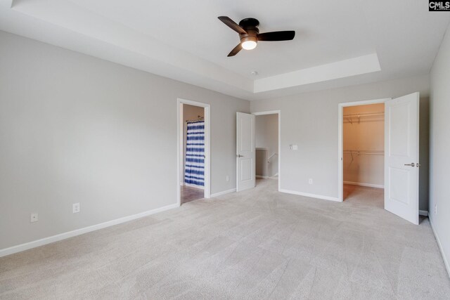 301 Chestnut Oak Ct, West Columbia, SC 29169 - unfurnished bedroom with a spacious closet, a raised ceiling, light carpet, a closet, and baseboards