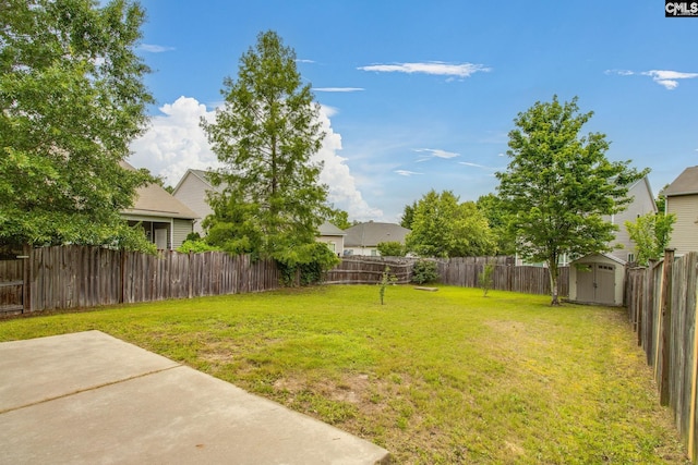 301 Chestnut Oak Ct, West Columbia, SC 29169 - view of yard with a patio area