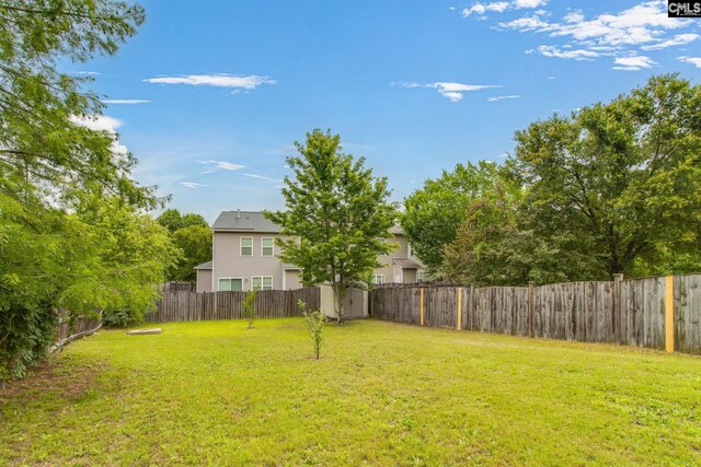 301 Chestnut Oak Ct, West Columbia, SC 29169 - view of yard