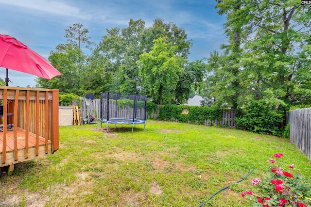 1123 Triple Crown Ct, Elgin, SC 29045 - view of yard with a trampoline and a deck