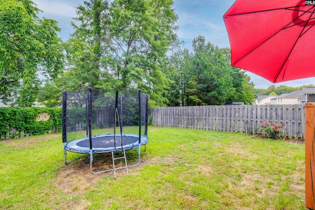 1123 Triple Crown Ct, Elgin, SC 29045 - view of yard featuring a trampoline