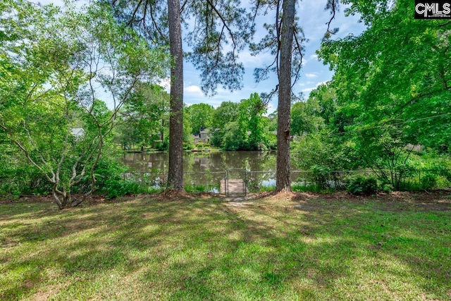 2308 Exton Shore Dr, Columbia, SC 29209 - view of yard with a water view