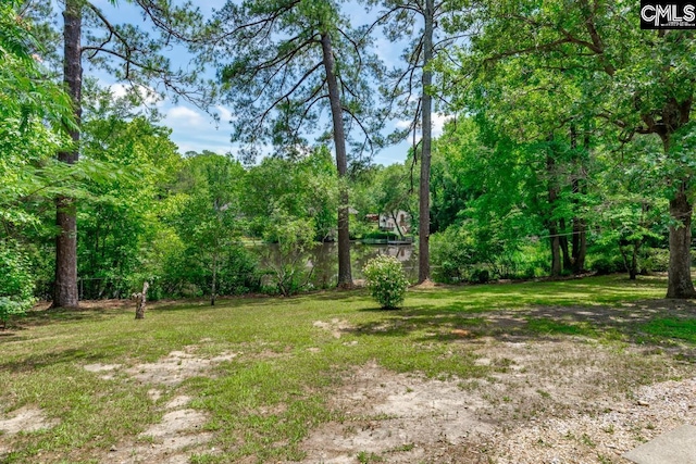 2308 Exton Shore Dr, Columbia, SC 29209 - view of green lawn