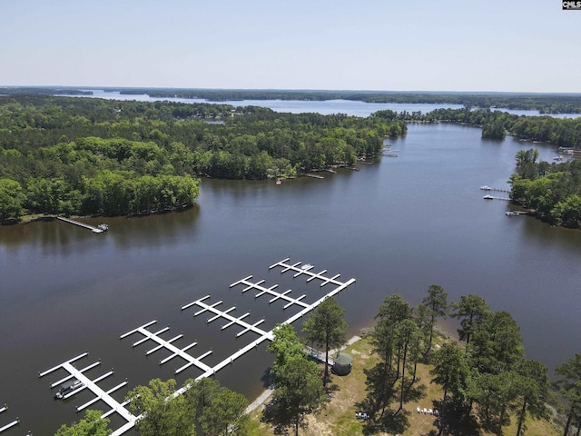 122 Timber Trail Ln, Prosperity, SC 29127