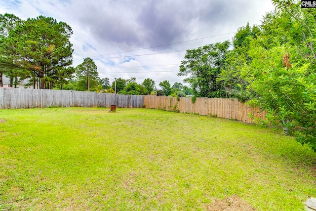 11 Parkhaven Ct, Columbia, SC 29209 - view of yard