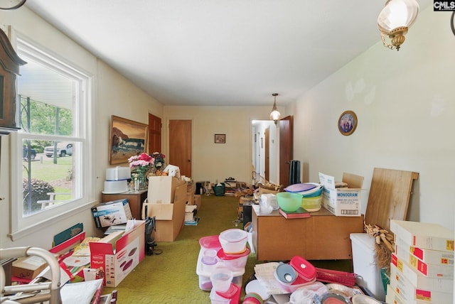 2015 Valley View Rd, West Columbia, SC 29172 - view of carpeted living room