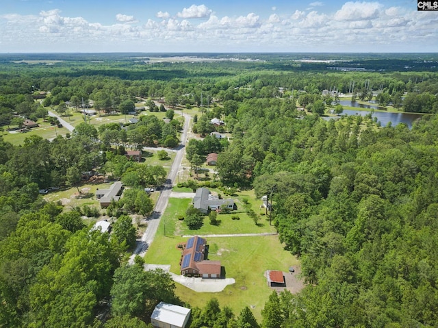 2015 Valley View Rd, West Columbia, SC 29172 - aerial overview of property's location with a forest and a large body of water
