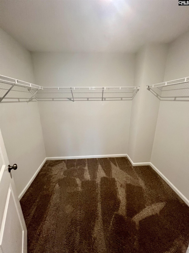 1069 Roscoe Rd, Lexington, SC 29073 - walk in closet featuring carpet flooring