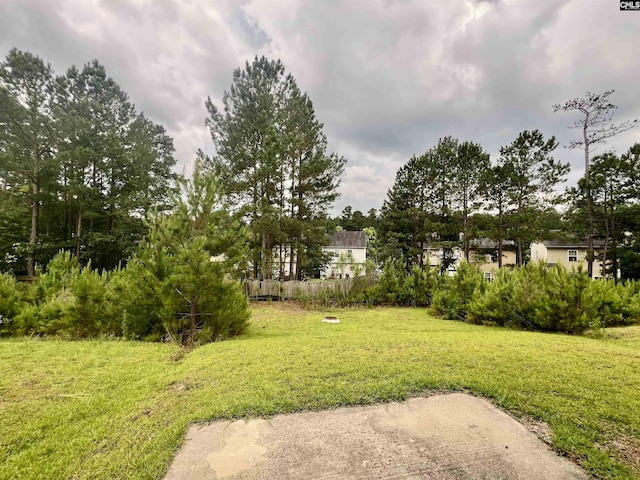 1069 Roscoe Rd, Lexington, SC 29073 - view of green lawn