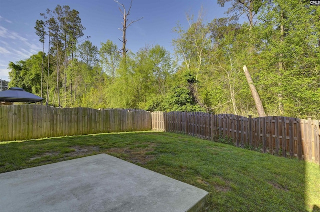 341 Liliana Dr, Columbia, SC 29223 - view of yard with a patio area