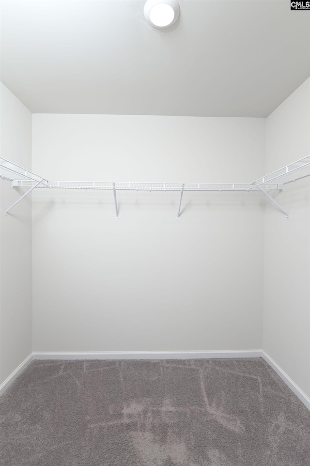 341 Liliana Dr, Columbia, SC 29223 - spacious closet with carpet flooring
