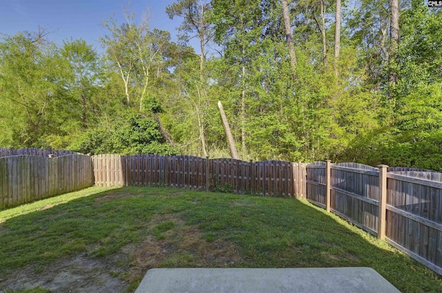 341 Liliana Dr, Columbia, SC 29223 - view of yard