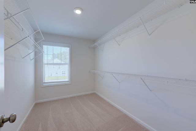 812 Poplar Bend Rd, Columbia, SC 29229 - spacious closet featuring carpet floors