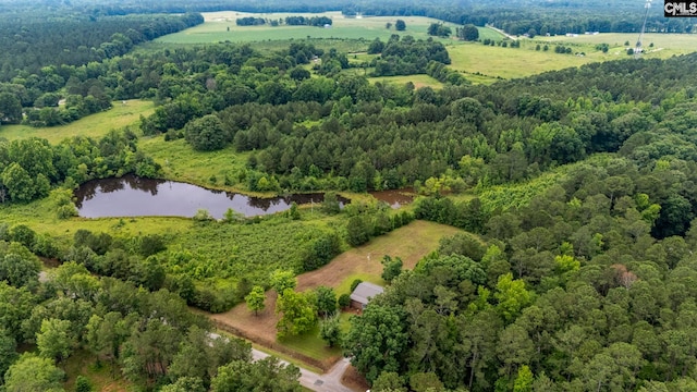 597 Plum Branch Rd, Saluda, SC 29138