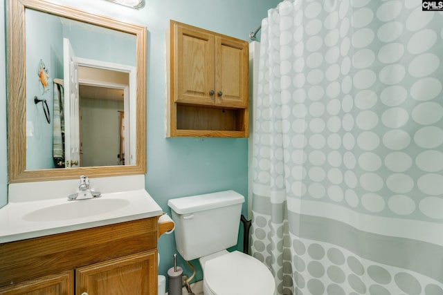 251 Kyzer Rd, Lexington, SC 29073 - bathroom featuring vanity, toilet, and curtained shower