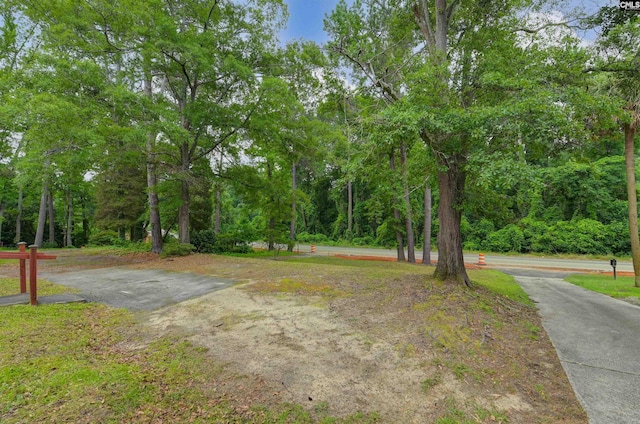 709 Sunset Dr, Columbia, SC 29203 - view of yard