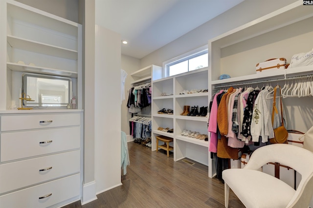 2 Beaver Lake Ct, Elgin, SC 29045 - walk in closet featuring dark wood-type flooring