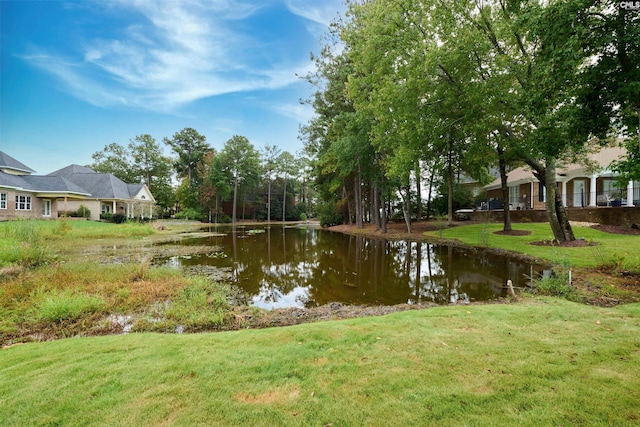 2 Beaver Lake Ct, Elgin, SC 29045 - water view