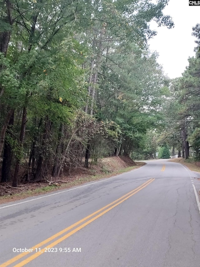 100 Stone Hill Rd, Chapin, SC 29036