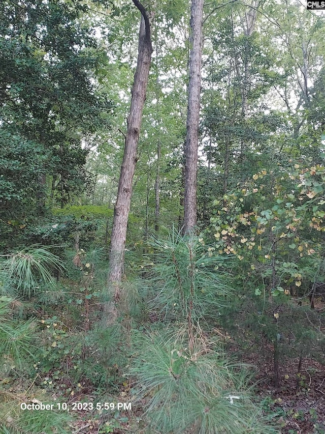 100 Stone Hill Rd, Chapin, SC 29036