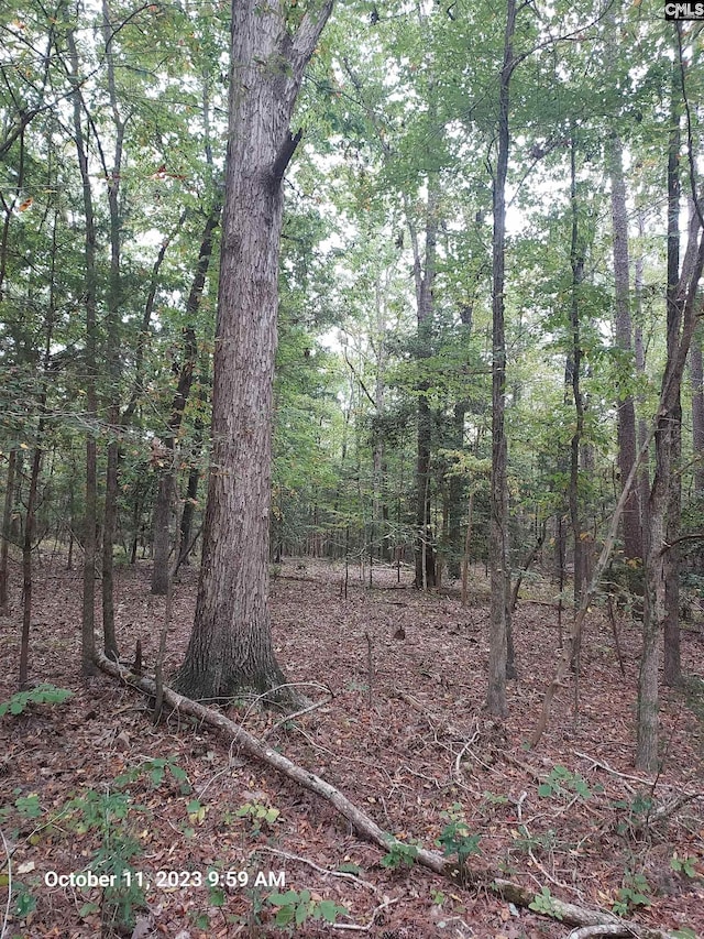 100 Stone Hill Rd, Chapin, SC 29036