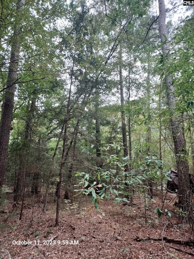 100 Stone Hill Rd, Chapin, SC 29036