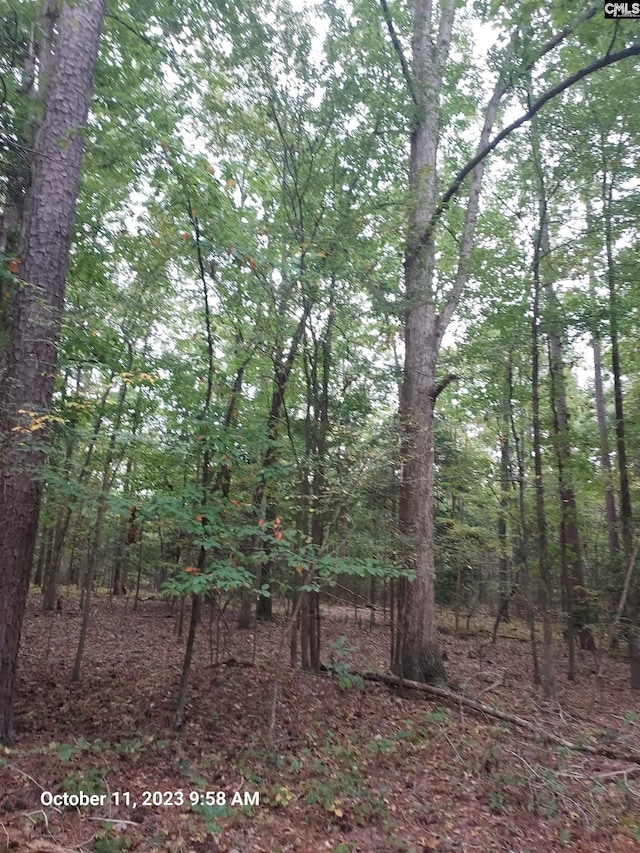 100 Stone Hill Rd, Chapin, SC 29036