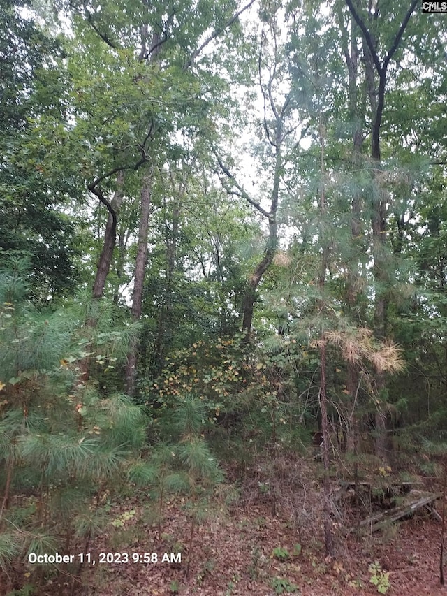 100 Stone Hill Rd, Chapin, SC 29036