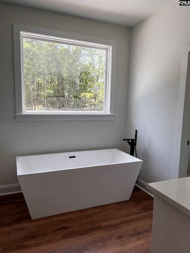 1781 Bookman Rd, Elgin, SC 29045 - bathroom with a soaking tub, vanity, wood finished floors, and baseboards