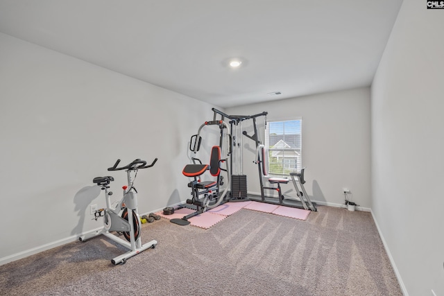 133 Plum Orchard Dr, West Columbia, SC 29170 - workout area with baseboards and carpet floors