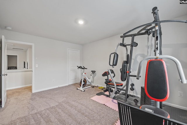 133 Plum Orchard Dr, West Columbia, SC 29170 - workout room featuring baseboards and carpet flooring