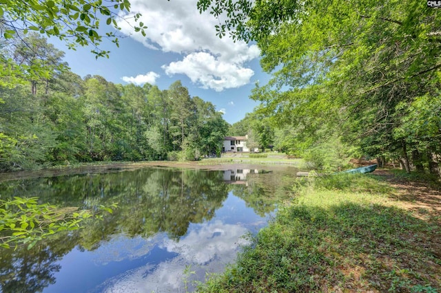 208 Gibbs Rd, Elgin, SC 29045 - water view with a heavily wooded area