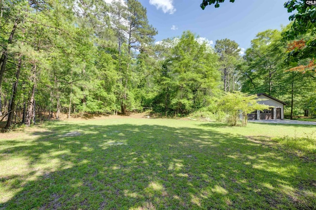 208 Gibbs Rd, Elgin, SC 29045 - view of grassy yard featuring a view of trees and an outdoor structure